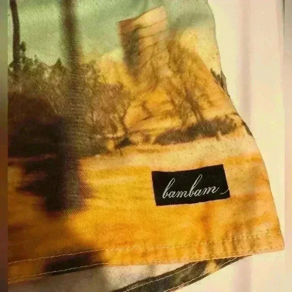 Vintage One of a kind Skater shorts street style pacsun Journeys - Picture 4 of 6